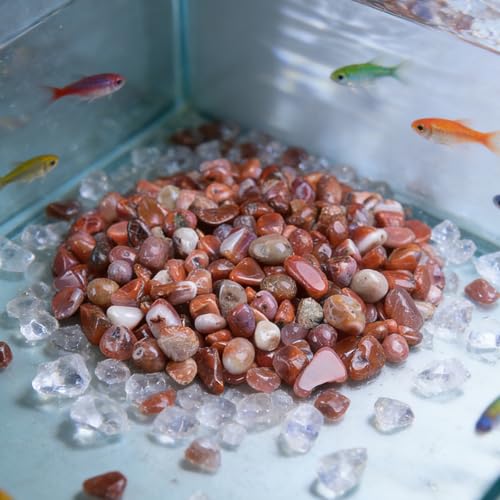 Natural Agate Aquarium Gravel, Fish Tank Rocks and Pebbles, Suitable for Indoor Plants, Colorful Crushed Stones can be Used for vase Filling, Succulent Plant Decoration, DIY Crafts (Red) - color: Red