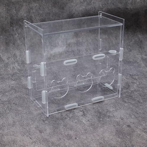 Acrylic Three Hole Two Layers Automatic Filling Transparent Feeder Box for Button Quail