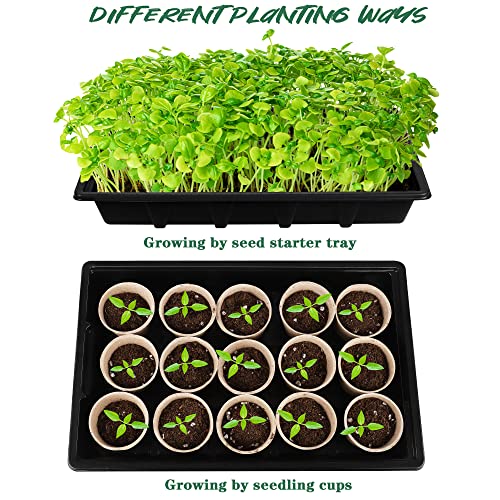 Hahood 4 Pack Seed Starter Tray Set Plants Growing Trays Peat Pots for Seedlings with Seed Starter Pots, Plastic Germination Tray, Plant Labels, Tool for Flower Vegetable Planting, Black - color: Black