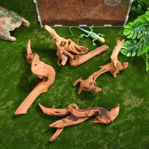 Toddmomy Aquarium Driftwood 4Pc Set 7.48In Natural Fish Tank Wood Decor for Freshwater Aquascaping Betta Fish Hiding Spots and Aquarium Hideouts