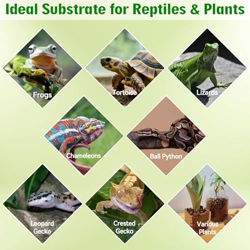 8QT Leca Clay Pebbles for Reptile Substrate - Organic Expanded Clay Balls for Bioactive Terrarium Drainage Layer & False Bottom, Lightweight Hydro Balls for Leopard Gecko, Tortoise, Frog