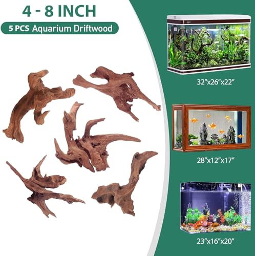 WDEFUN Natural Driftwood for Aquarium Decor, 5-Piece 5''-8'' Large Driftwood for Decorations on Fish Tank, Reptiles Bearded Dragon Accessories or Air Plants - size: Mopani driftwood （5-8 inch pack of 5）