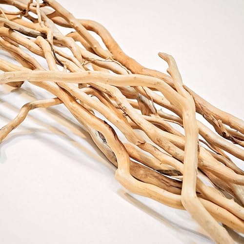 Azil Natural Aquarium Driftwood Root – Driftwood for Aquarium Decor, 250g ≈ 0.551 lb (10″–15''), Fish Tanks, Terrariums, Aquascaping & Planted Tanks - size: root mix 10 - 15 inch