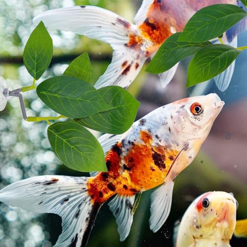 Thinp 3 Pack Betta Fish Leaf Pad, Betta Leaf Hammock Fish Tank Decorations Aquarium Decor Simulating The Natural Habitat for Sleeping Resting Hiding Playing Breeding with Plastic Suction Cup
