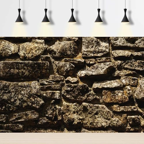 Stone Rock Aquarium Background Vintage Retro Rock Fish Tank Background Natural Rocky Terrarium Background for Tank Background Poster Decorations Retro Rock Reptile Habitat Background 24x12in - color: Dark_Brown, size: 24(W)x12(H)inches/ 60(W)*30cm(H)
