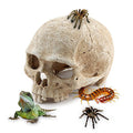 Aquarium Resin Skull, for Aquarium Decoration Reptile House Cave Family Daily Decoration
