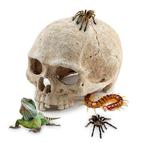 Aquarium Resin Skull, for Aquarium Decoration Reptile House Cave Family Daily Decoration