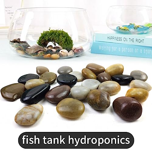 5LB Mixed Color River Rocks - 2-3 inch High Polished Decorative Pebbles, Stones for Landscaping,Natural River Rocks for Outdoor Décor, Plants,Vase Filler,Fish Tank - size: 5LB, style: Mixed Color