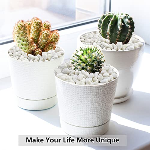 YISZM 2LB Succulent and Cactus Gravel Pebbles, 1/5 Inch White Natural Decorative Polished Stones, River Rocks for Plants, Vases, Aquariums, Terrarium and Outdoor Gardening,White - color: White, size: 2 Pounds