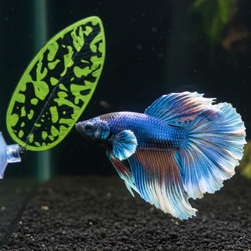 4 Pcs Betta Hammock Aquarium Decor Betta Fish Tank Decor Plastic Plants Bettas Fish Leaf Hammock Bettas Fishes Toys for Resting Sleeping Playing Hiding Breeding