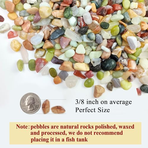 FANTIAN 10 lbs Small Succulent Rocks, 3/8 Inch Colorful Polished Pebbles for Indoor Plants. Decorative Rocks for Plants Indoor, Vases, Planters Aquarium and Outdoor Landscaping Garden - size: 10 pounds, style: Colorful