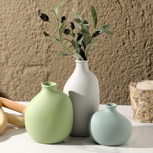 Ceramic Vase Set of 3, Small Rustic Farmhouse Pottery Vases for Home Decor, Perfect for Pampas Grass, Ideal for Living Room, Bedroom, Kitchen, Bathroom, Bookshelf, Table Centerpiece. - color: 9099-3