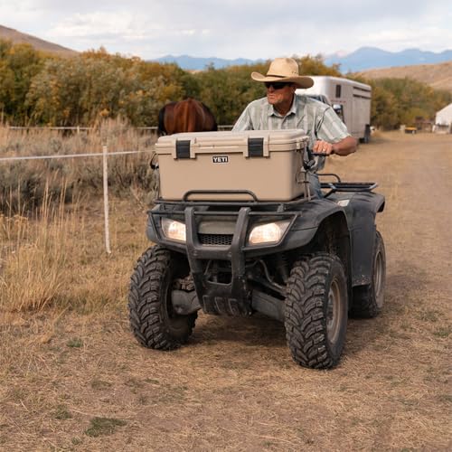 YETI LoadOut GoBox Collection, Divided Waterproof Cargo Case, Dry Box, Camera Case, Fishing Tackle Box - color: Charcoal, size: GoBox 60