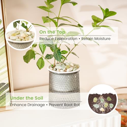 SIDONG 10 LB Jade Pebbles, 2/5 Inch Natural Decorative Polished Jade Stones, Jade River Rocks for Succulents, Cactus, Vases, Indoor Plants, Garden Landscaping, Bamboo - color: Jade, size: 10 Pounds