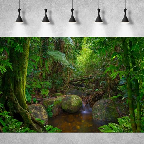 Forest Aquarium Background Jungle Rainforest Stream Terrarium Background Lush Green Trees with Moss Fish Tank Background Forest Stream Rock Reptile Habitat Background Poster Vinyl 24x12in - color: Tropical Tree Green, size: 24(W)x12(H)in