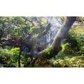 Tropical Jungle Aquarium Background Majestic Misty Rainforest Scenery Fish Tank Background Scenic Mountain Cascading Waterfall Terrarium Backgrounds Tranquil Stream Reptile Tank Backgrounds 24x12in - color: Warm Green, size: 24(W)x12(H)in