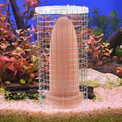 Fish Spawning Bucket Set Breeding Cone for Aquarium Shrimp Breeding Bucket for Decoration Sturdy Spawning Cone Easy Cleaning Features