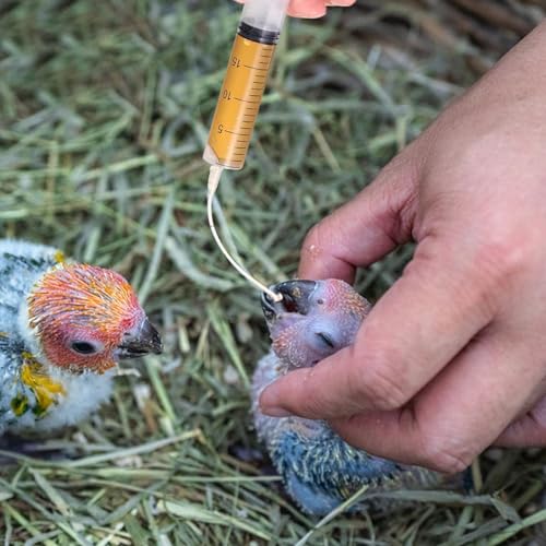 Baby Bird Feeding Syringe Set, Pet Parrot Milk Feeding Syringe with Tubes, Parrot Feeding Tubes Measuring Tools for Feeding Pets Scientific Industrial Labs… (10ml+20ml+60ml) - color: 10ml+20ml+60ml