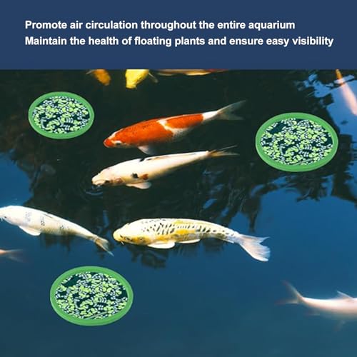 Gavigain Aquarium Feeding Ring Set, 5 Sizes, EVA Foam, Prevents Food, Promotes Water Circulation, Ideal for Fish, Turtles, Plants (5pcs Green+5pcs Black) - color: 5pcs Green+5pcs Black