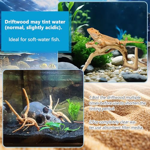 10 Pcs Natural Small Spiderwood for Aquarium, Aquarium Driftwood Freshwater 4-6 Inch, Assorted Size Spider Wood, Twisted Branches for Fishtank Accessories, Reptile Terrariums Decorations - color: 10 PackSpiderwood 4-6in