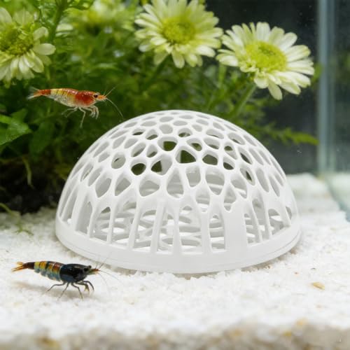 2-Pack White Shrimp Hideouts – Hollow Half-Sphere Aquarium Caves for Shrimp, Betta Fish & Nano Tanks | Decorative Shelter for Breeding and Molting - color: White