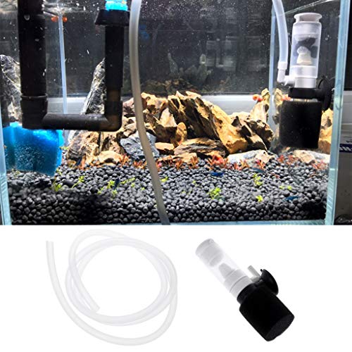 Aquariums Small Filter Quiet Air Driven with Tube Including Suction Cup and Sponge for Shrimp Tanks Aquariums Heater Light Thermometers Plant Sand Decorations Fish Decorations Light Fish