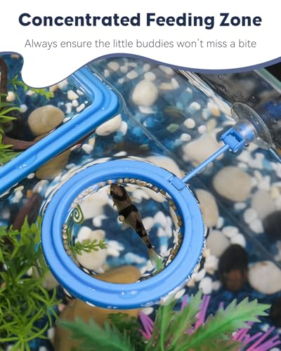 Pawfly 2 Pcs Fish Feeding Ring for Aquarium – Round and Square Floating Food Feeder with Suction Cup for Betta, Goldfish, Guppy, Turtle & Small Fish