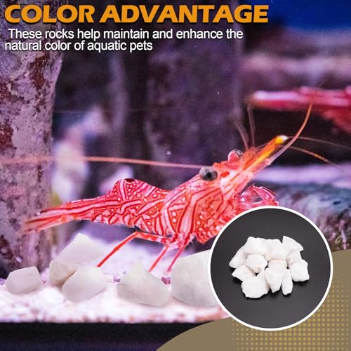 Shrimp Rocks for Aquarium, 3-oz