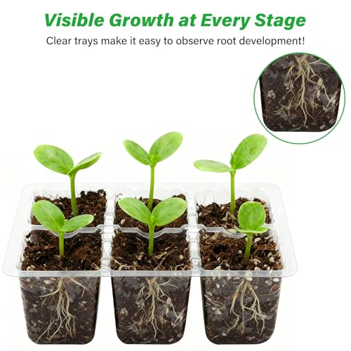 Bonviee 10 Packs Seed Starter Tray with Drainage Holes, Reusable & Durable, Clear for Root Monitoring, Easy to Repotted Without Root Damage, 6 Cells per Tray - color: Clear, size: 60 XL Cells, NO light