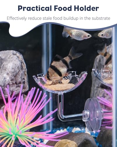 Pawfly Shrimp Feeding Dish with Suction Cup, Clear Acrylic Aquarium Shrimp Feeder, Fish Feeding Tray for Freshwater and Saltwater Tanks, Flower-Shaped