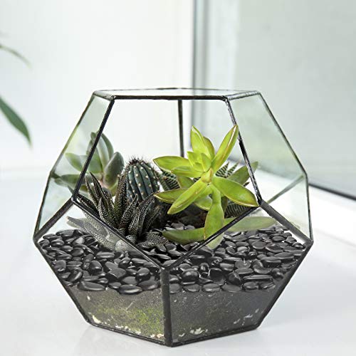 Black Small Pebbles - Decorative Gravel Rock Plant Stones,3/8" Natural Polished Stones Succulent Gravel,Pebbles Gravel for Bamboo Plants,Succulent,Home Decor,Landscaping,Vase Fillers. - color: Black, size: 1 LB