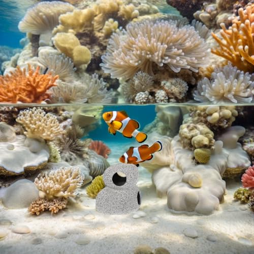 Toyvian 2pcs Aquarium Shrimp Breeding Cave and Fish Hideout Set, Purple Clay Pot Habitat, Compact Ceramic Shelter for Cichlids and Freshwater Fish Tank Landscaping and Hiding