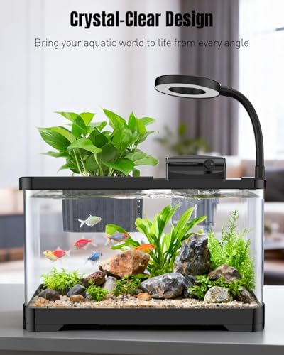 Pawfly 2 Gallon Fish Tank, Small Aquarium Kit, Betta Fish Tank Starter Kit with 6 W LED Light, 65 GPH Filter, Siphon Vacuum Water Changer & Basket, Aquarium for Betta, Shrim, or Small Fishes - color: Black-01