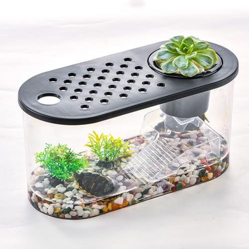Small Turtle Tank Kit, Reptile Aquarium with Basking Platform, Decor Stones & Water Grass – Habitat for Turtles, Hermit Crabs, Fish – Ideal for Home or Office (12" x 6" x 12") - color: Black