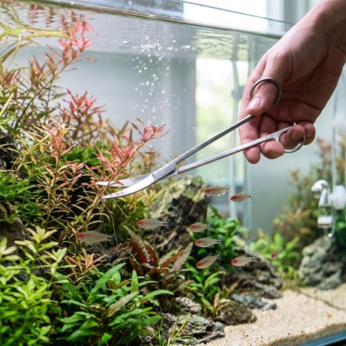 Stainless Steel Aquarium Plant Scissors, Professional Grass Trimming Tool with Mirror Polished Surface, Comfortable Hand Curve for Fish Aquascaping (Curved shear 25cm)