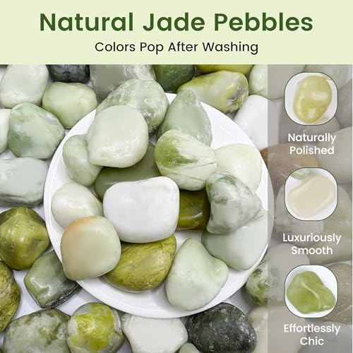 SIDONG 10 LB Jade Pebbles, 1.2-2Inch Natural Decorative Polished Jade Stones, Jade River Rocks for Succulents, Cactus, Vases, Indoor Plants, Garden Landscaping, Bamboo - color: Jade, size: 10 lbs,1.2-2inch