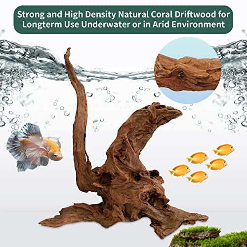 Hamiledyi 5 Pcs Driftwood Branches Aquarium Wood Decoration Natural Fish Tank Habitat Decor Wood for Lizard Assorted Size-Small