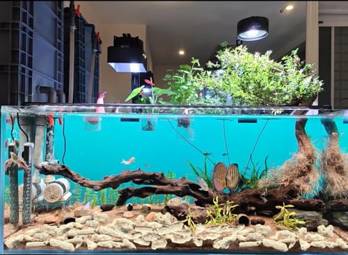 Crushed Coral Filter for Aquarium,Fish Tank Crushed Coral for Freshwater Aquarium PH Aquarium Bio Filter Media Bag