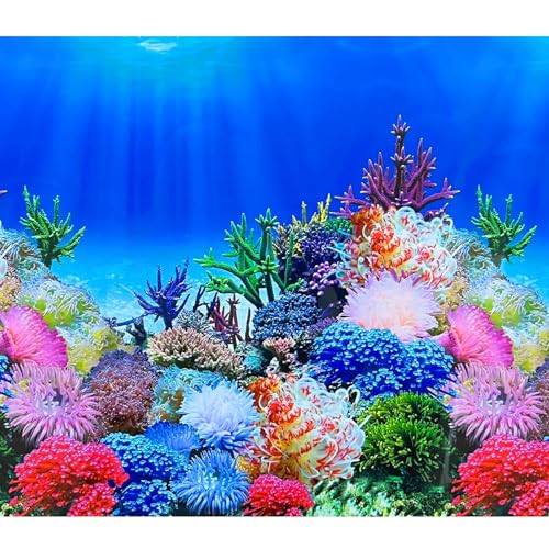 XCNO Fish Backgrounds Paper Double Sides Undersea Aquarium Background Poster Colorful Sea Anemone Fish Tank Background Sticker Decorations 16"x 33" - color: Sea Anemone, size: 15.6" x 33" In