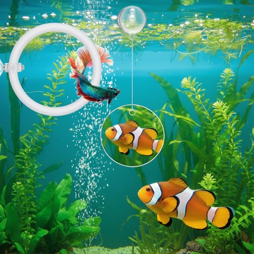 Molain Betta Fish Enrichment Toys, Betta Fish Tank Accessories 2 Training Rings 1 Mirror with Floating Ball Plastic Aquarium Enrichment Toys Set for Fishes Exercise Mental Stimulation