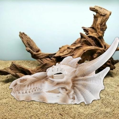Yardwe Dinosaur Skull Statue 8.66In Resin Dragon Skull Aquarium Decor Desktop Courtyard Ornament Fish Tank Reptile Accessory