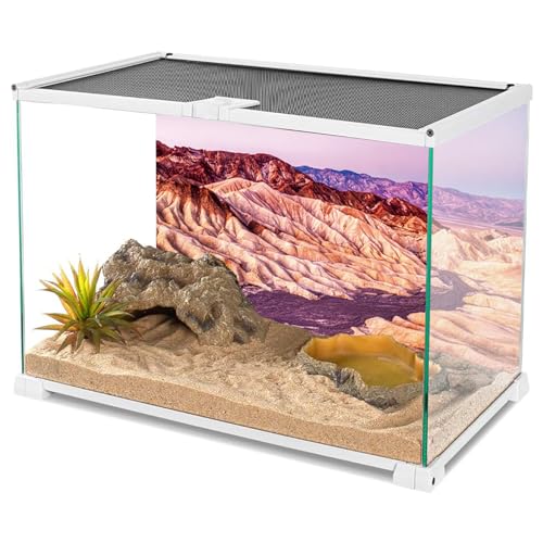 YongFoto Reptile Terrarium Background - 24x12 inch Desert Rocky Bush Thorns Western Wilderness Habitat Backdrop - color: Purple, size: 24 x 12 in