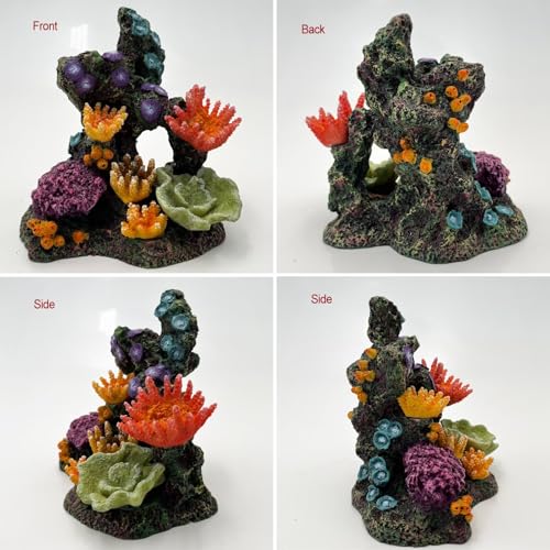 S-Lifeeling Charming Resin Coral Reef Ornament - Realistic Aquarium Decor Gift for Fish & Shrimp Hideaway, Suitable for Freshwater & Saltwater Tanks (6.1 x 4.1 x 6.1 inches) - color: Type B