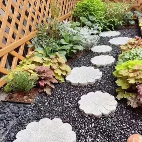 FANTIAN 10 lbs Small Black Pebbles for Indoor Plants. 3/8 inch Decorative Black River Rocks for Succulent Potted Plant, Vase, Landscaping and Outdoor Garden Rocks - size: 10 pounds, style: Black