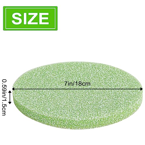 Poweka Phosphate Reducer Filter Pads, Compatible with Fluval FX4/FX5/FX6, 6 Count, Green, Aquarium Filter Accessories - color: green
