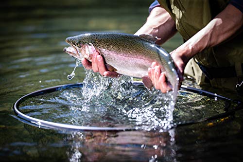 Frabill Floating Trout Net - size: 13" x 18"