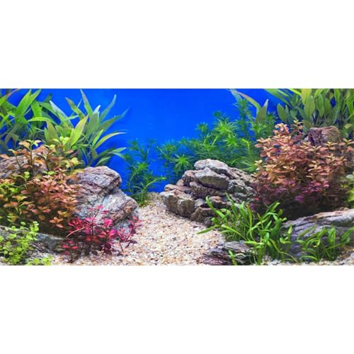 AWERT 36x24 inches Aquatic Plant Fish Tank Background Stone River Bed & Lake Aquarium Background Vinyl - size: 36x24in/90x60cm