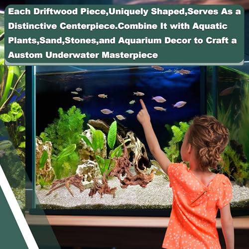 Natural Wood Driftwood for Aquarium Fish Tank Decor,Assorted Driftwood Trunk Branch for Reptile Tank Decor (LLM-Driftwood (4 to 8 Inch)-Pack of 4) - color: LLM-Driftwood (4 to 8 Inch)-Pack of 4