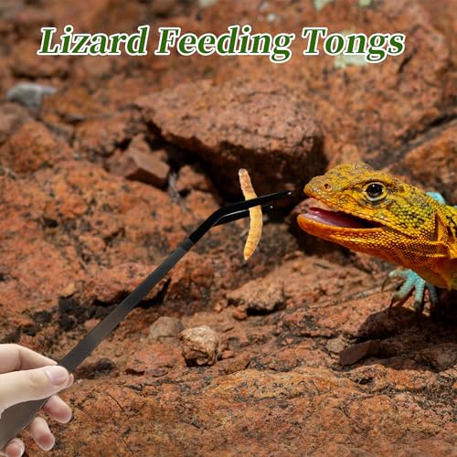 Reptile Feeding Tongs, Stainless Steel Lizard Feeding Tongs, Aquarium Curved Feeding Tweezers for Reptiles with Rubber Tip, Terrarium Feeding Tongs 14.96" L, Black Silver Tone - color: Black, size: 14.96"