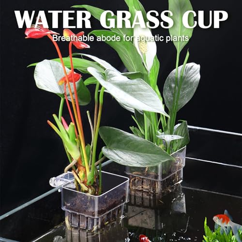 12 Pack Top Hanging Fish Tank Plant Pot Clear Aquarium Plant Holder with Hook Aquatic Plant Cup Holder Aquarium Aquatic P-lant Pot Water Landscape Decoration for P-lant Water Feature Decoration